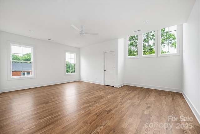 1816 Parson St, Charlotte, NC 28205 - photo 36