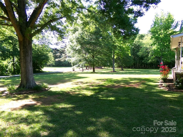 44716 Gold Branch Rd, Richfield, NC 28137 - view of yard