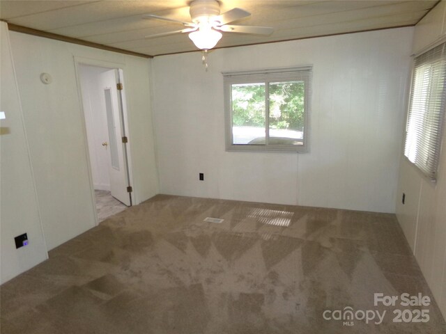 44716 Gold Branch Rd, Richfield, NC 28137 - empty room featuring plenty of natural light, a ceiling fan, and carpet flooring
