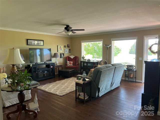 living room featuring crown molding, a ceiling fan, and dark wood-style floors
