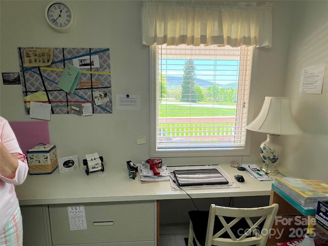 office area featuring a wealth of natural light
