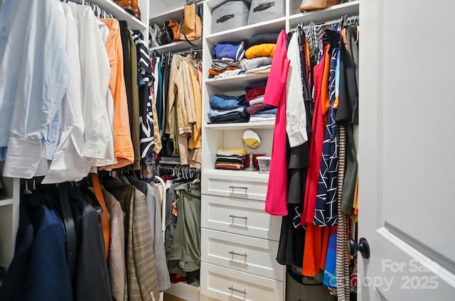 view of spacious closet