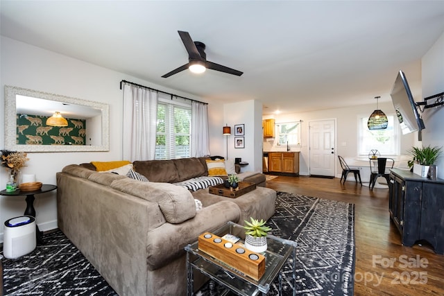 1816 Anderson St, Charlotte, NC 28205 - living area with a ceiling fan, baseboards, and dark wood finished floors