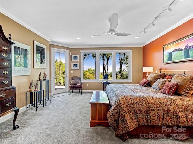 bedroom featuring crown molding, rail lighting, baseboards, access to outside, and carpet