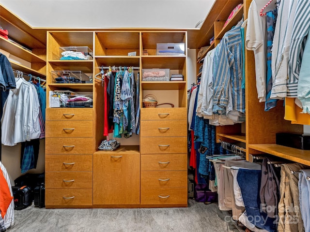 walk in closet with light carpet