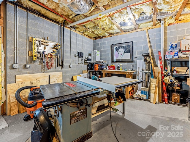 543 Hagen Dr, Hendersonville, NC 28739 - unfinished below grade area featuring concrete block wall and a workshop area