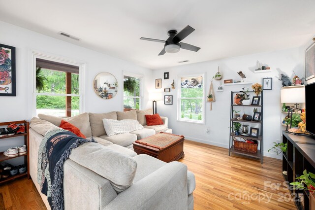 living room with ceiling fan, visible vents, baseboards, and light wood finished floors