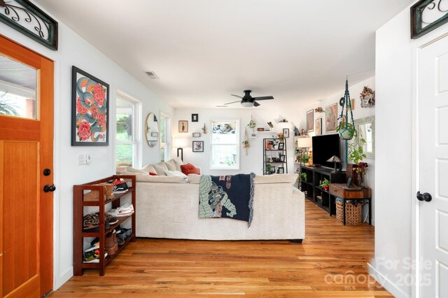 living room with a ceiling fan, visible vents, and light wood-style flooring