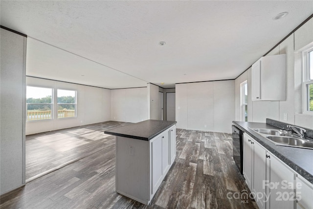 kitchen featuring dark wood-type flooring, a sink, and dark countertops