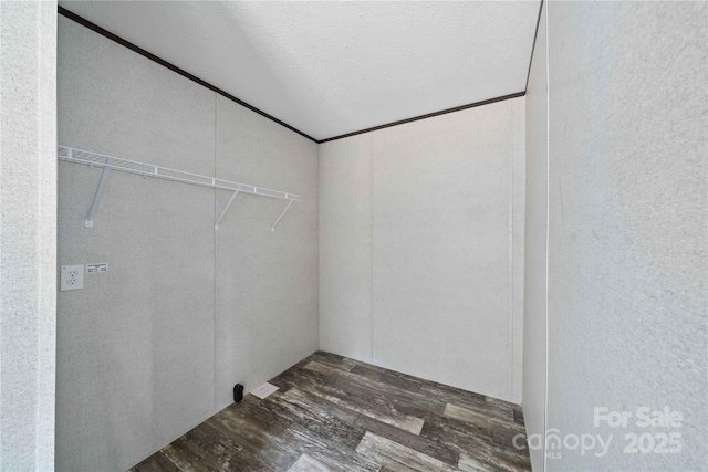 walk in closet featuring wood finished floors