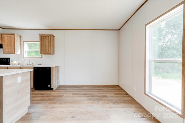 445 Davis Rd, Shelby, NC 28152 - kitchen with ornamental molding, light countertops, light wood-type flooring, and black dishwasher