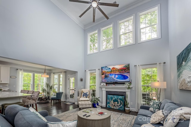 living area with a glass covered fireplace, ceiling fan, wood finished floors, and high vaulted ceiling