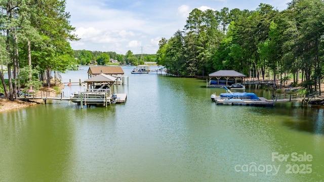 dock area with a water view