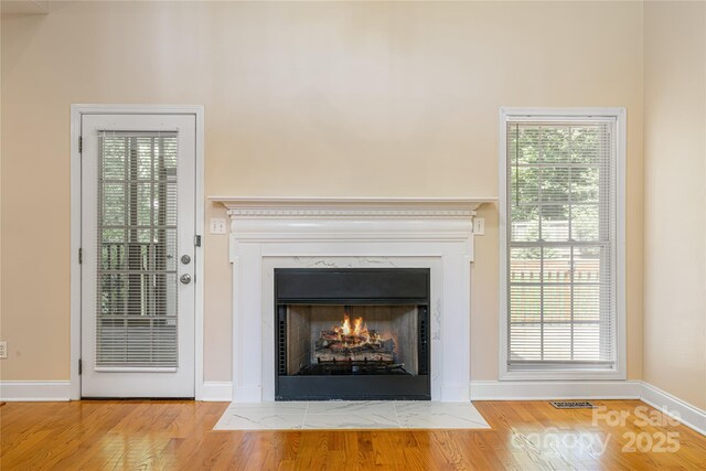 detailed view of wood finished floors, a premium fireplace, and baseboards