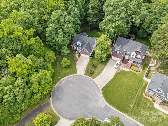 drone / aerial view