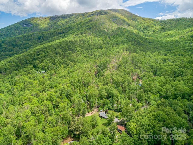 128 Summer Haven Rd, Swannanoa, NC 28778 - view of mountain background featuring a forest