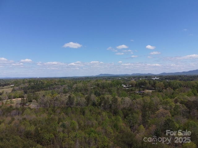 TBD Snowhill Church Rd, Morganton, NC 28655 - photo 2