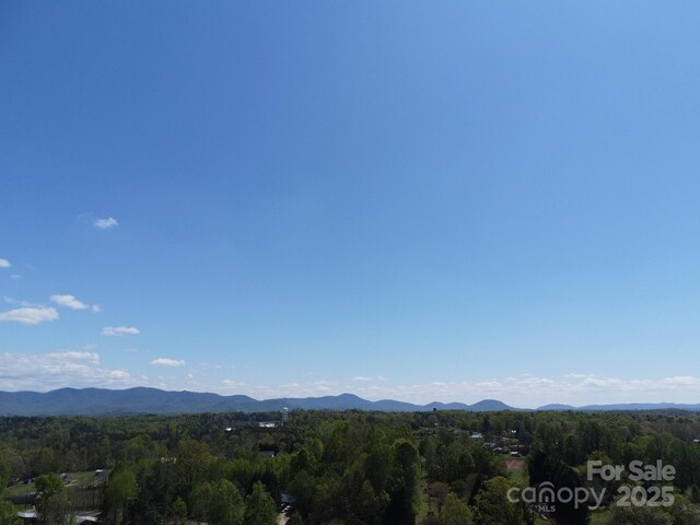 TBD Snowhill Church Rd, Morganton, NC 28655 - photo 4