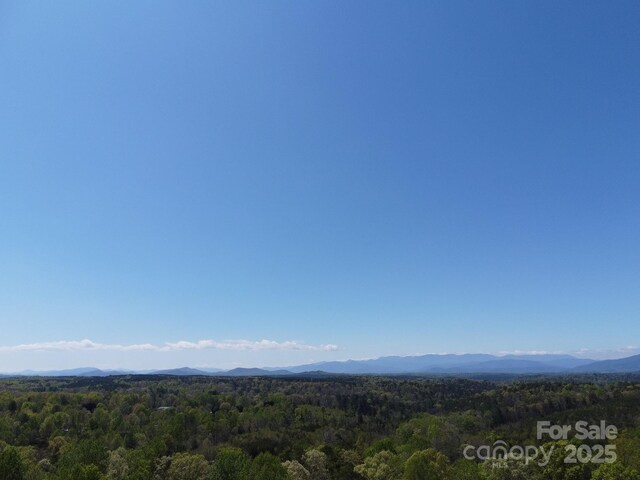 TBD Snowhill Church Rd, Morganton, NC 28655 - photo 8