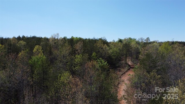 TBD Snowhill Church Rd, Morganton, NC 28655 - photo 10