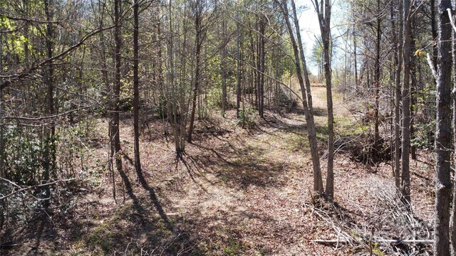 TBD Snowhill Church Rd, Morganton, NC 28655 - photo 11