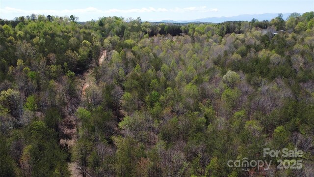 TBD Snowhill Church Rd, Morganton, NC 28655 - photo 14