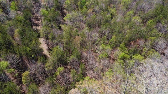 TBD Snowhill Church Rd, Morganton, NC 28655 - photo 15