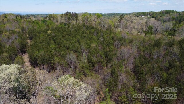 TBD Snowhill Church Rd, Morganton, NC 28655 - photo 16