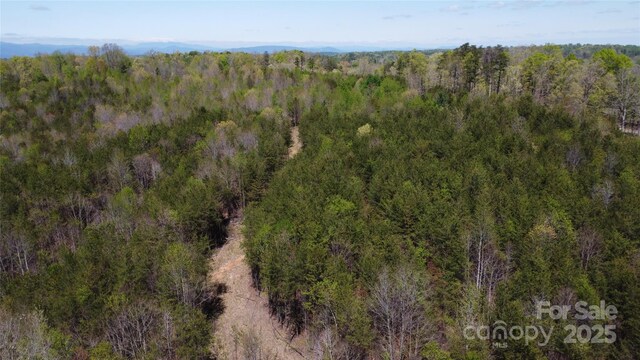 TBD Snowhill Church Rd, Morganton, NC 28655 - photo 17