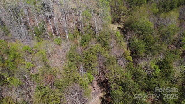 TBD Snowhill Church Rd, Morganton, NC 28655 - photo 18