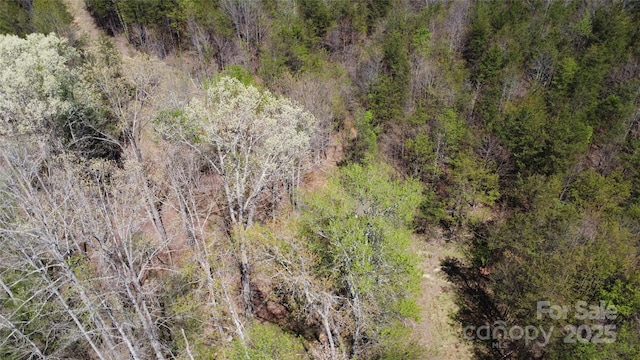 TBD Snowhill Church Rd, Morganton, NC 28655 - photo 19