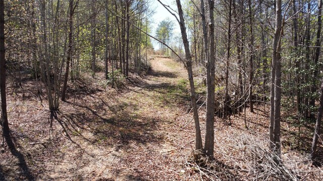 TBD Snowhill Church Rd, Morganton, NC 28655 - photo 20