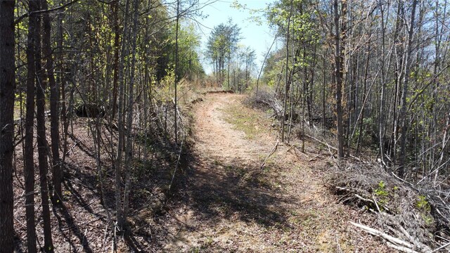 TBD Snowhill Church Rd, Morganton, NC 28655 - photo 21