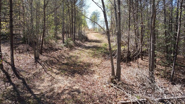 TBD Snowhill Church Rd, Morganton, NC 28655 - photo 23