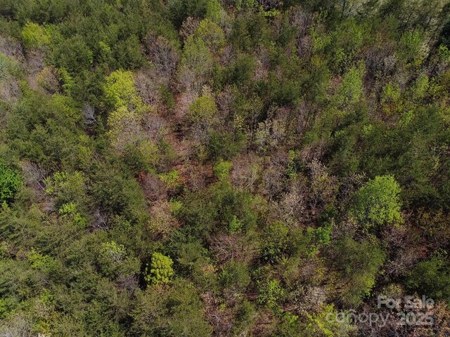 TBD Snowhill Church Rd, Morganton, NC 28655 - photo 24