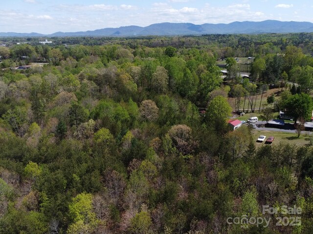 TBD Snowhill Church Rd, Morganton, NC 28655 - photo 25