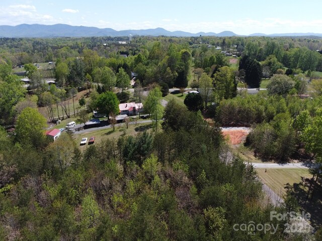 TBD Snowhill Church Rd, Morganton, NC 28655 - photo 26