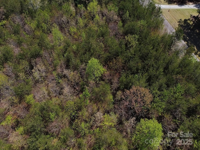 TBD Snowhill Church Rd, Morganton, NC 28655 - photo 27