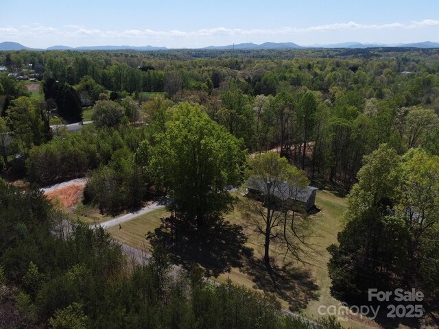 TBD Snowhill Church Rd, Morganton, NC 28655 - photo 28