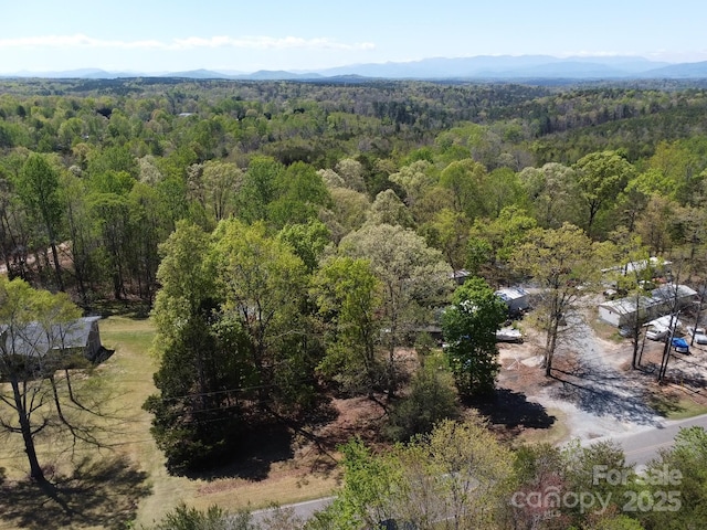 TBD Snowhill Church Rd, Morganton, NC 28655 - photo 29