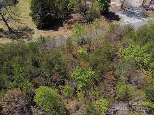 TBD Snowhill Church Rd, Morganton, NC 28655 - photo 30