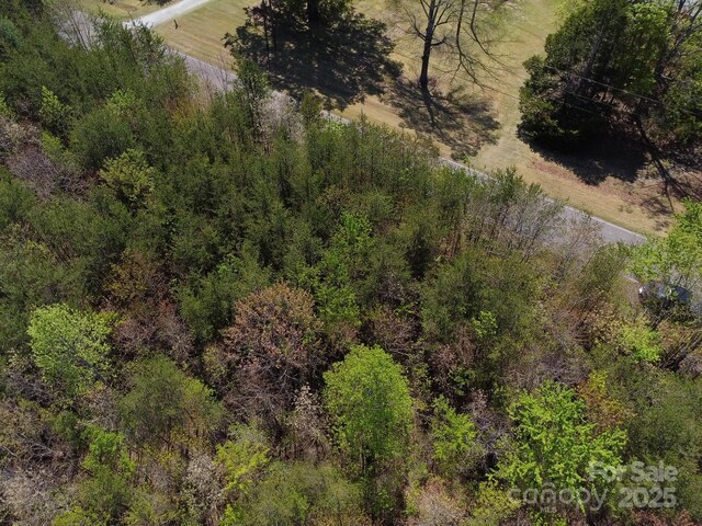 TBD Snowhill Church Rd, Morganton, NC 28655 - photo 31