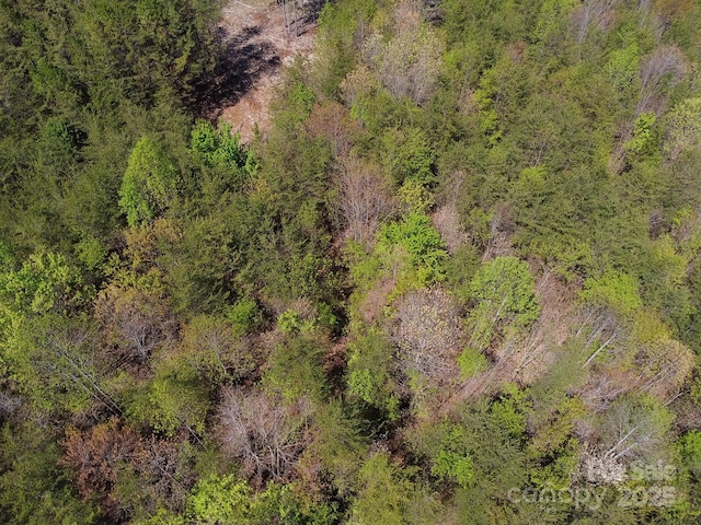 TBD Snowhill Church Rd, Morganton, NC 28655 - photo 33