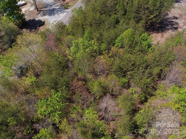 TBD Snowhill Church Rd, Morganton, NC 28655 - photo 34