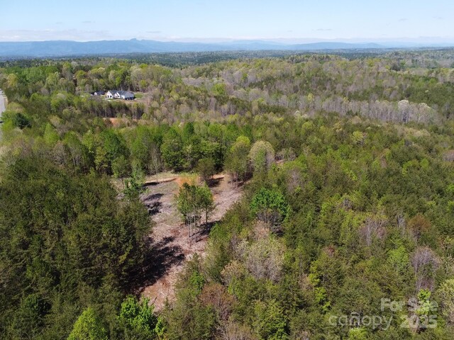 TBD Snowhill Church Rd, Morganton, NC 28655 - photo 35