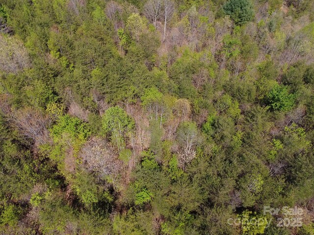 TBD Snowhill Church Rd, Morganton, NC 28655 - photo 36