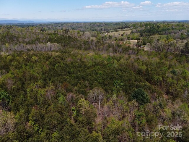 TBD Snowhill Church Rd, Morganton, NC 28655 - photo 37