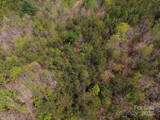 TBD Snowhill Church Rd, Morganton, NC 28655 - photo 38