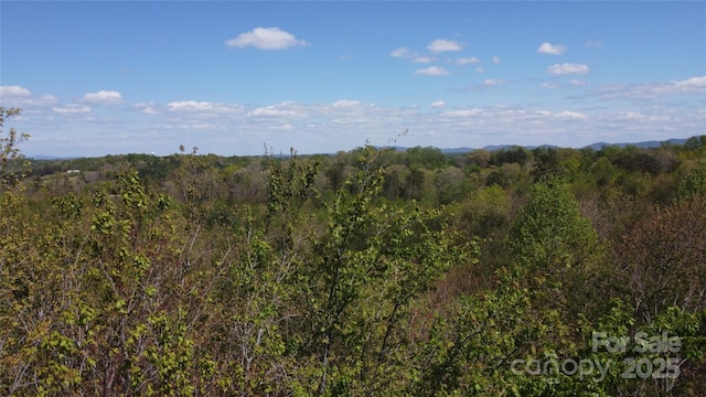 00 Snowhill Church Rd, Morganton, NC 28655 - photo 4
