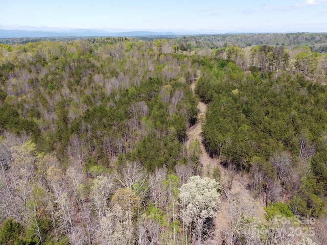 00 Snowhill Church Rd, Morganton, NC 28655 - photo 10